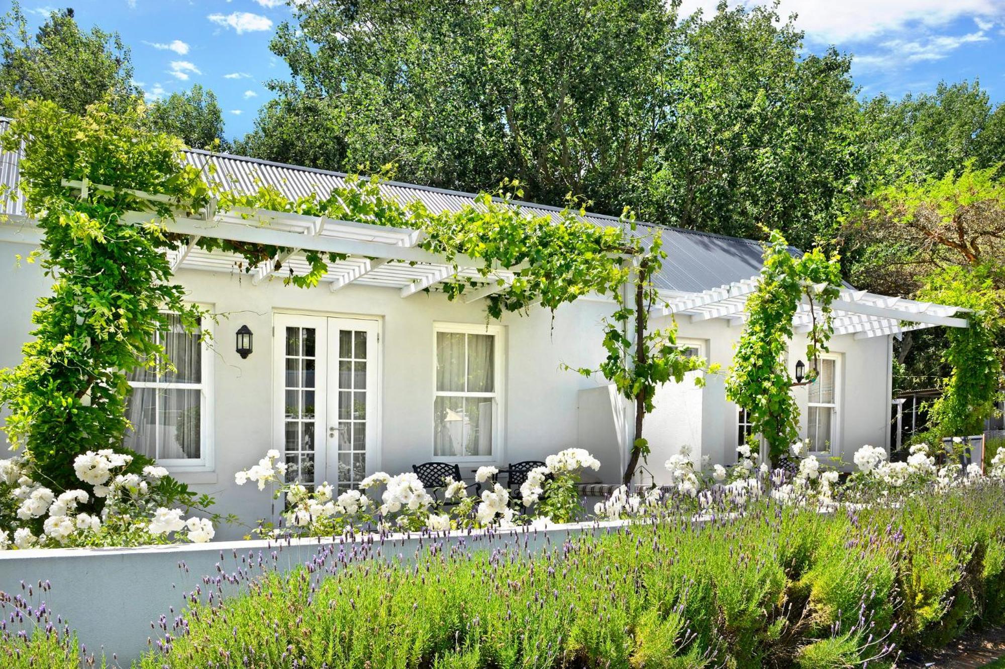 Lavender Farm Boutique Guest House Franschhoek Exterior foto