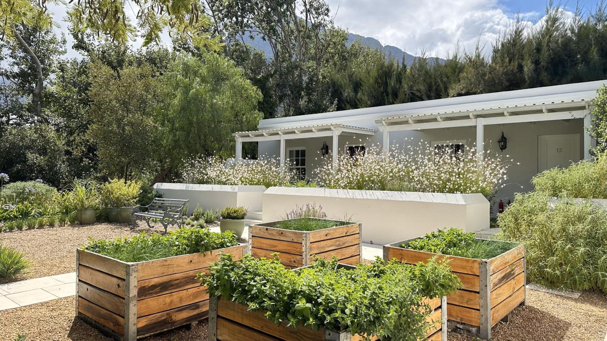 Lavender Farm Boutique Guest House Franschhoek Exterior foto